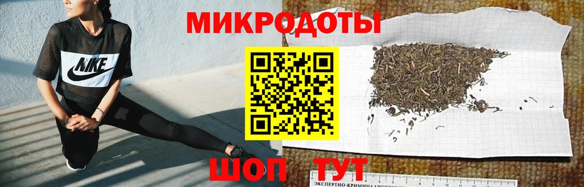 Большой Камень  Псилоцибиновые грибы мицелий  Вход с VPN  Псилоцибиновые грибы Psilocybe 